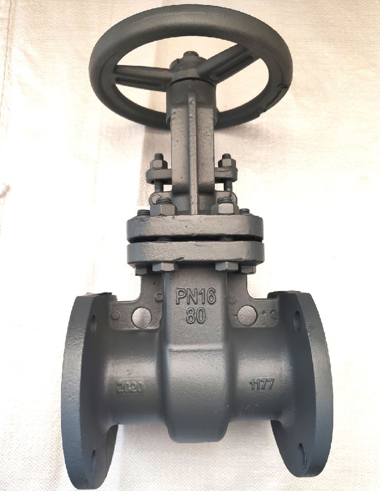 Cast steel gate valve (GOST)