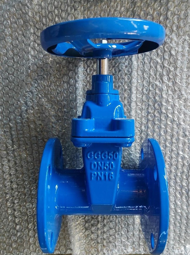 DIN  Ductile iron rubber gate valve (30ch39r)