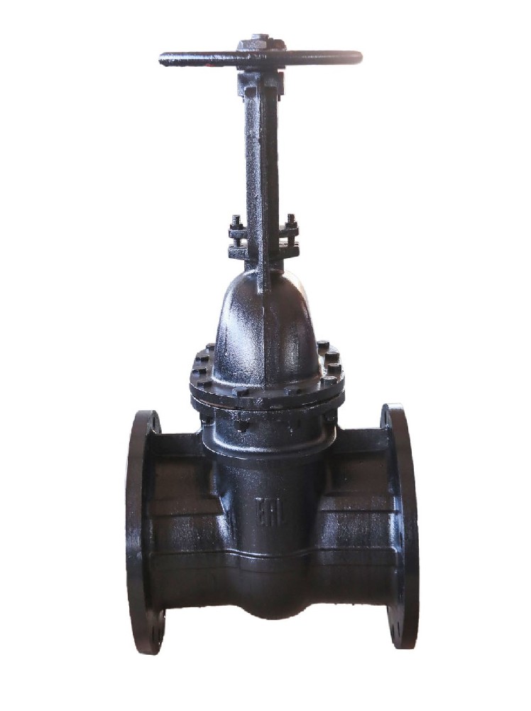 Cast iron gate valve DN250